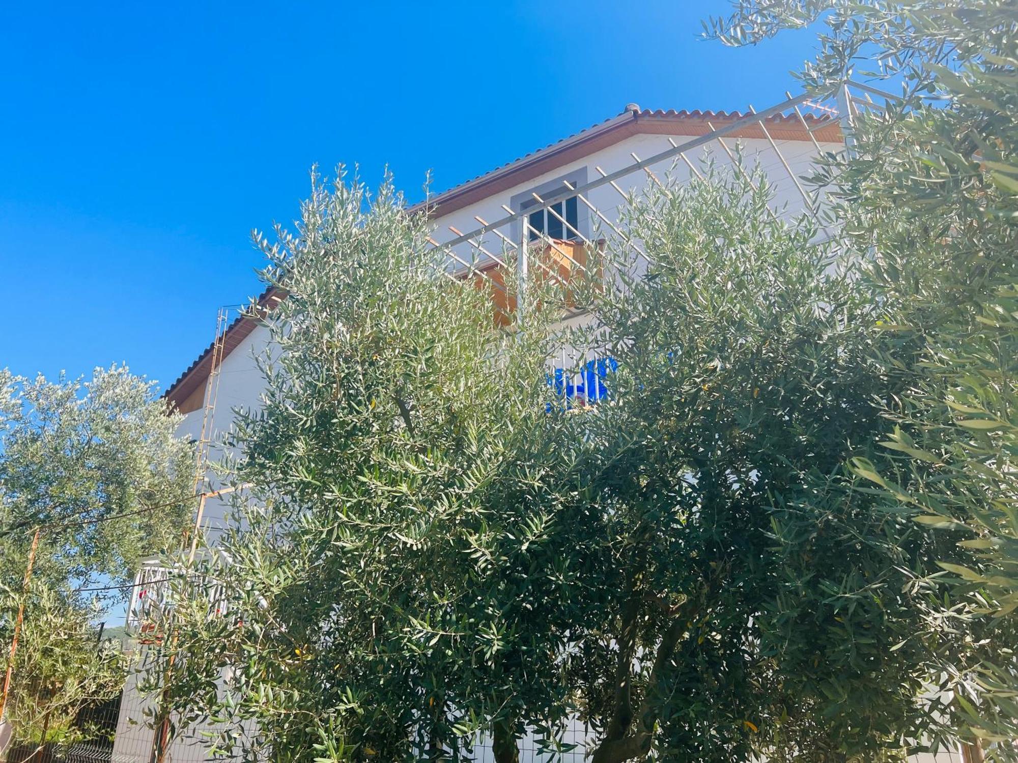 Hotel Fori Vodo Divjake Exteriér fotografie